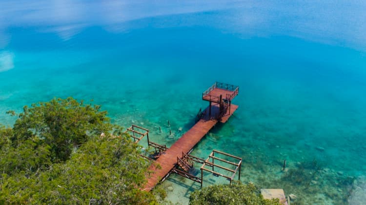 Mía Bacalar — foto 4 de 5