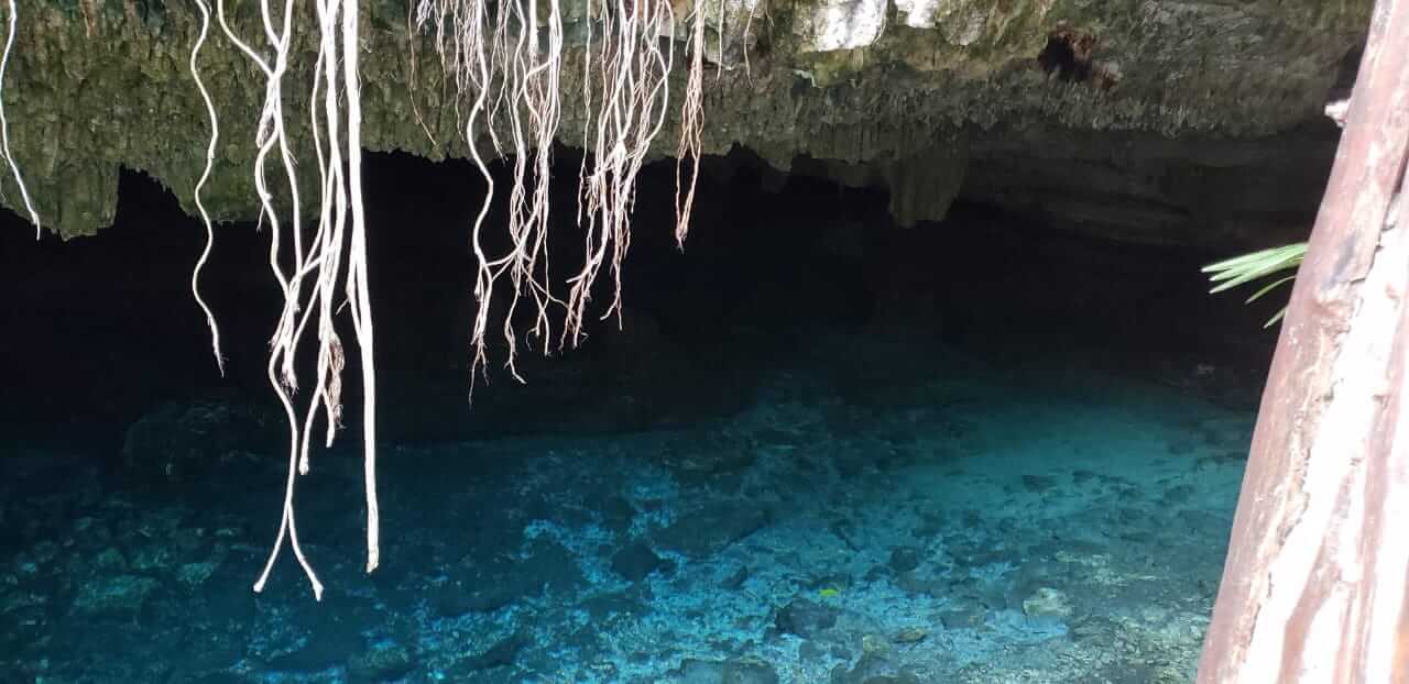 Cenote Dos Palmas — foto 5 de 5